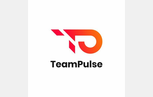 TeamPulse notre nouveau Sponsors ! 